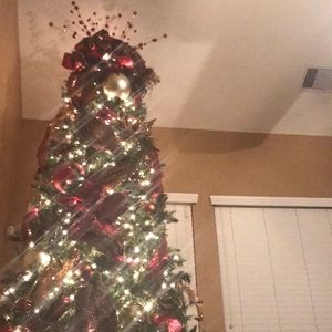 Meet your Posher, Karley